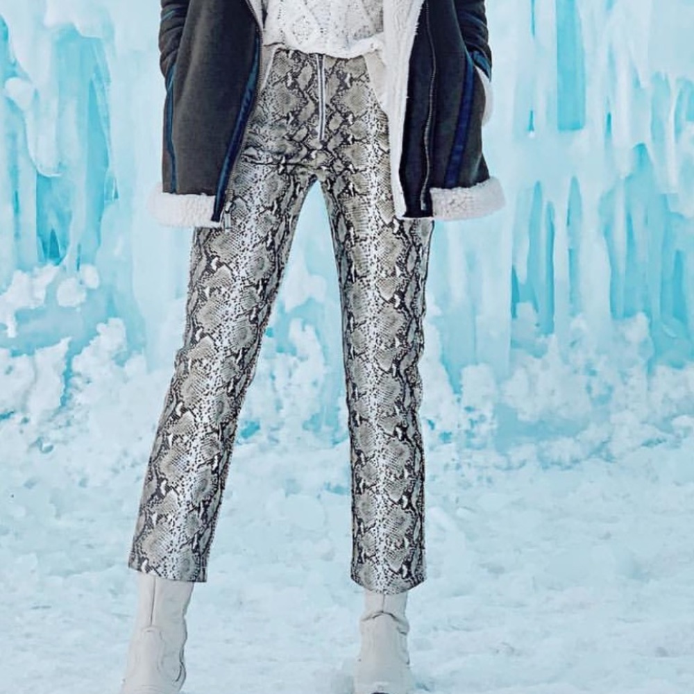 Wild honey snake print pants